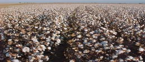 Örnek İçerik | 02.01.2012 19:15:36