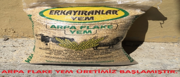 ARPA FLAKE YEM ÜRETİMİZ BAŞLAMIŞTIR. | 10.07.2019 12:12:43