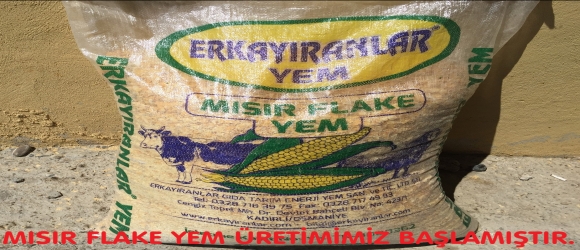 MISIR FLAKE YEM ÜRETİMİMİZ BAŞLAMIŞTIR. | 10.07.2019 12:15:13